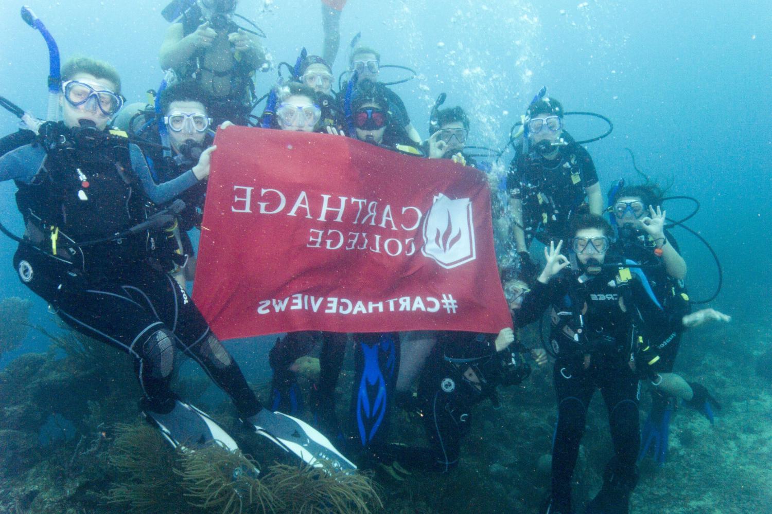学生们手持<a href='http://2mynovny.qishengwuliu.com'>bv伟德ios下载</a>旗帜，在j学期洪都拉斯游学之旅中潜水.
